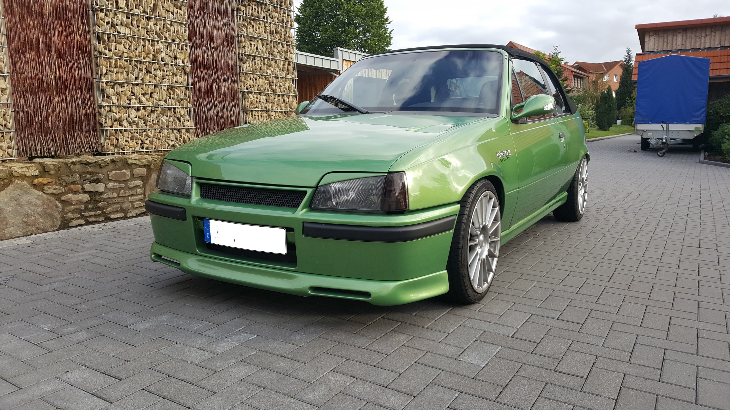 Mein grünes Monster