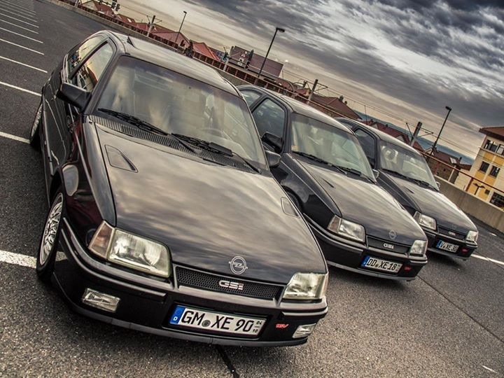 2015 Dresden Gompitz