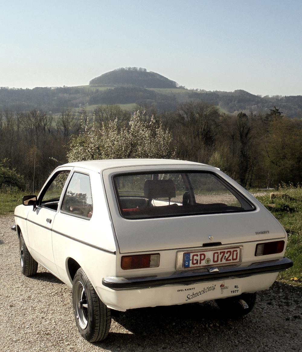 Fast ein Schneekönig