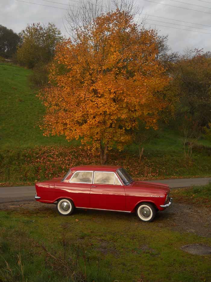Opel Kadett LZL, Baujahr 1965