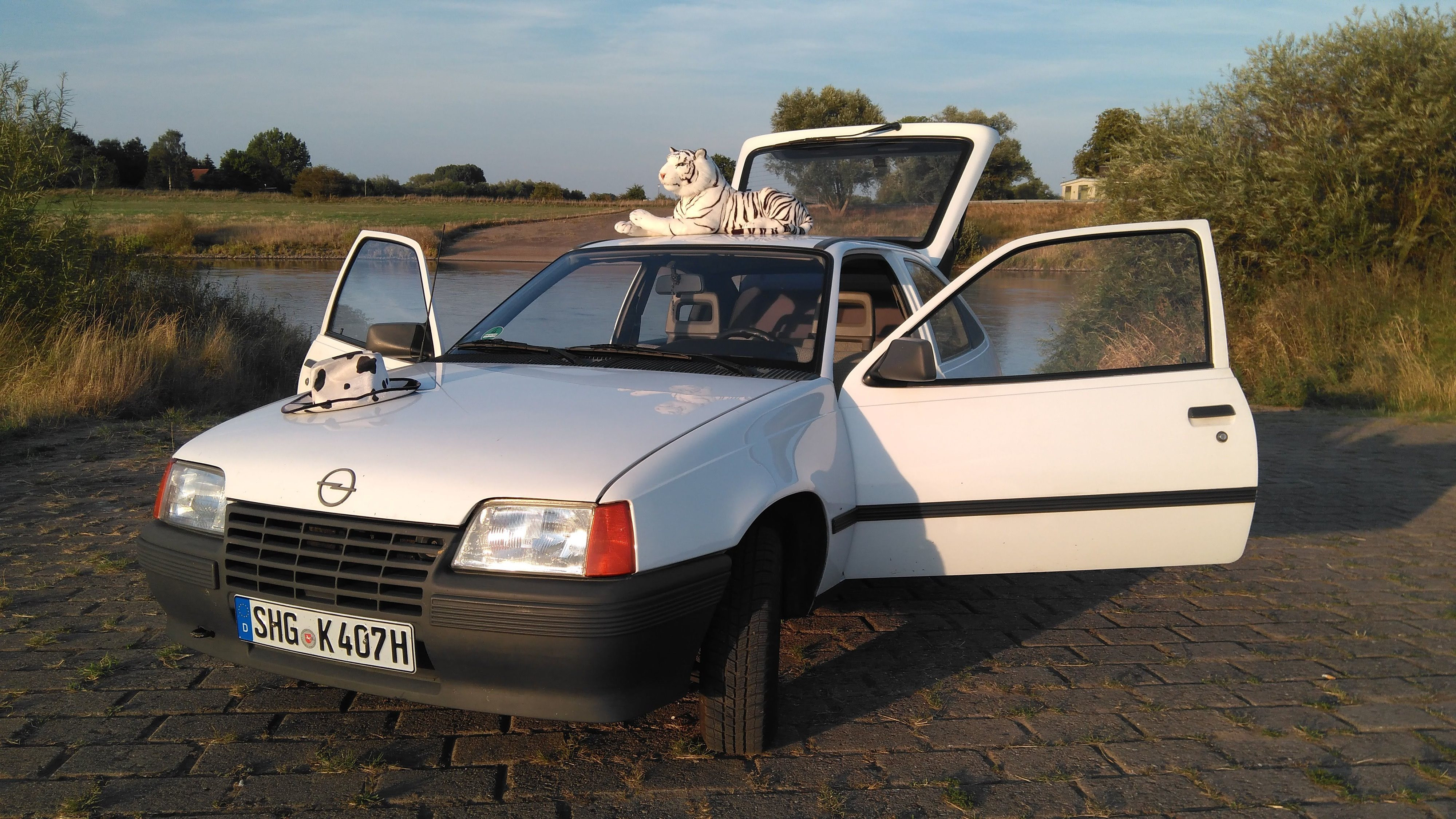 Woher kommt der Tiger ?