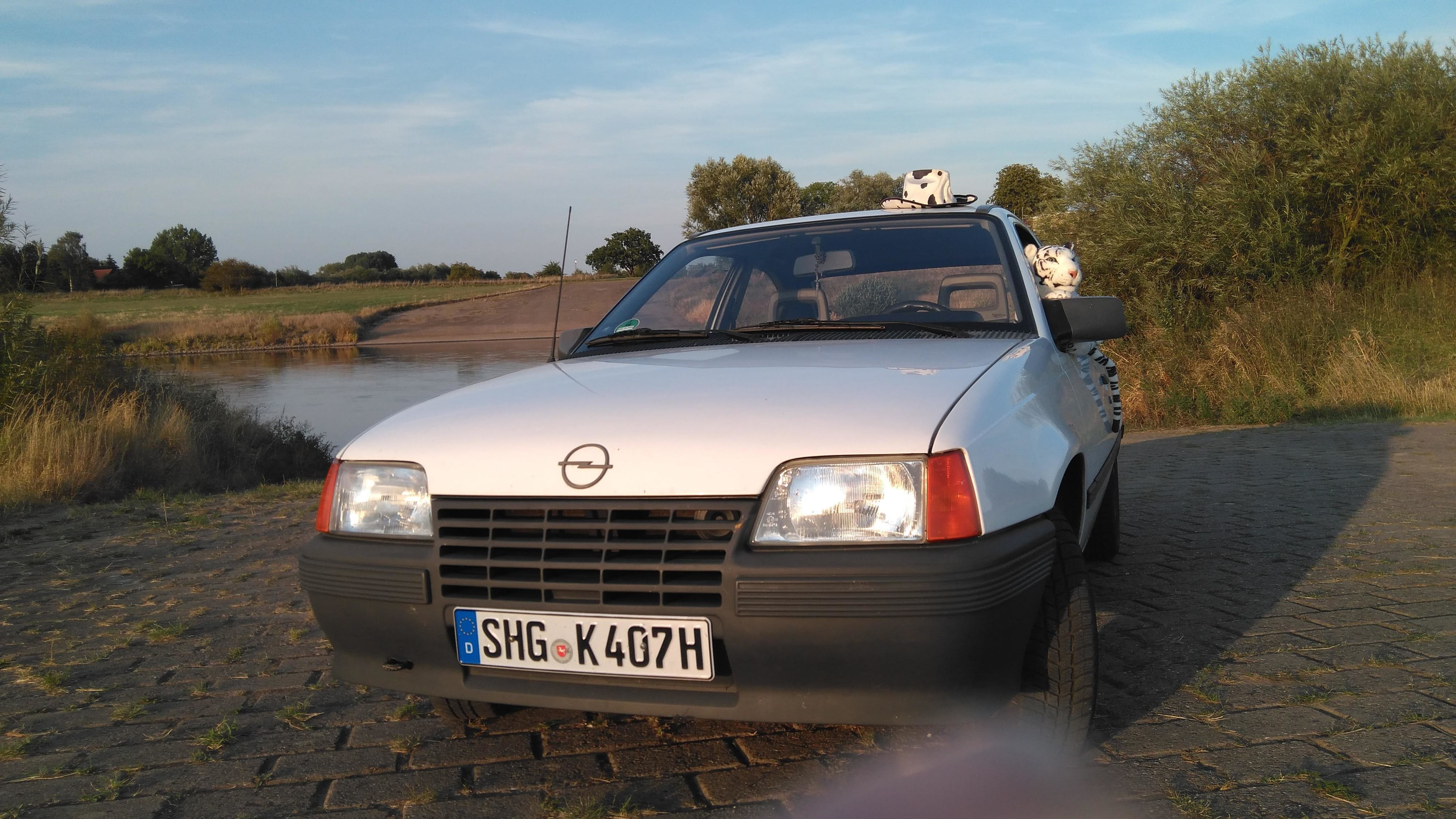 Woher kommt der Tiger ?