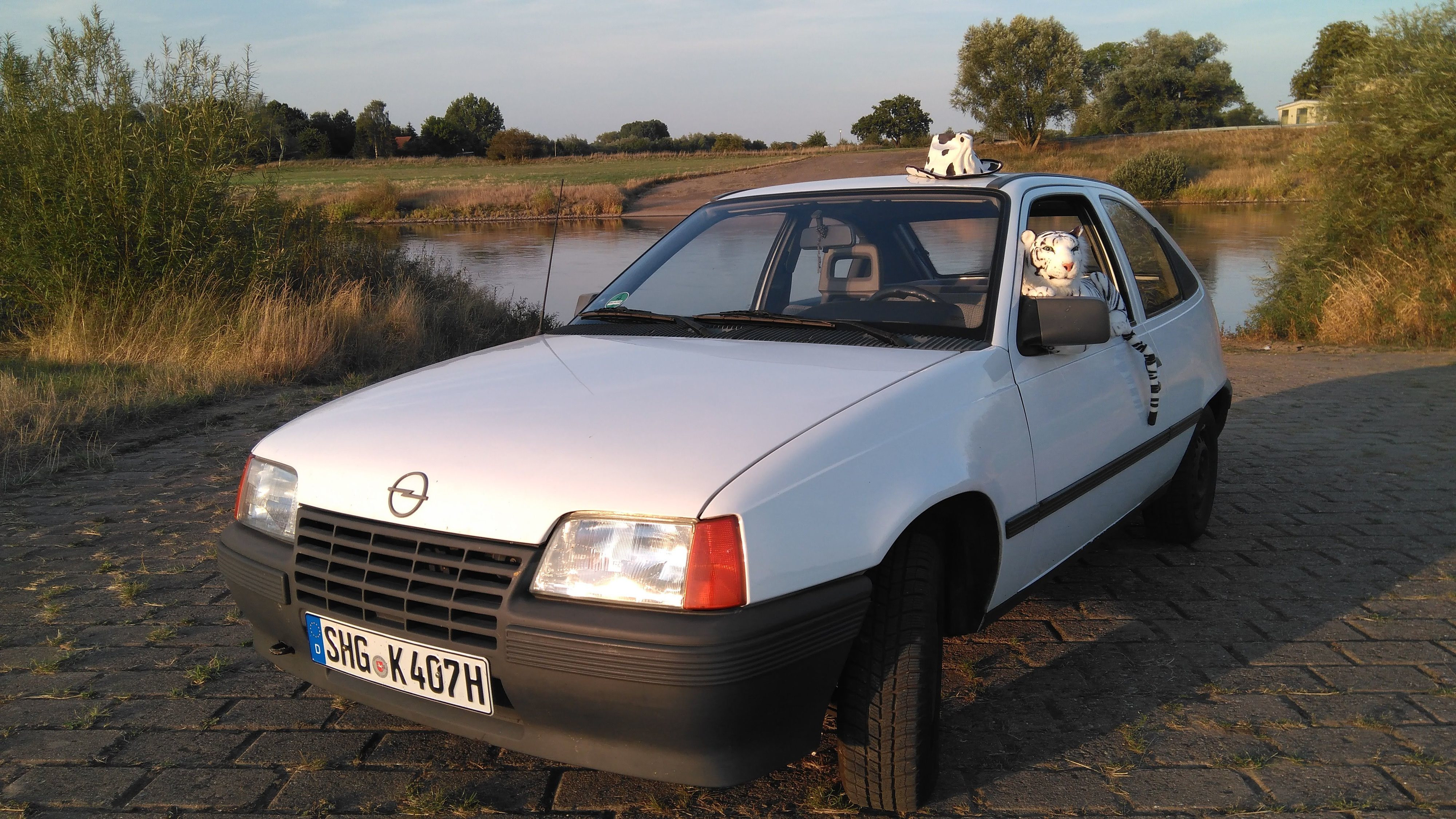 Woher kommt der Tiger ?