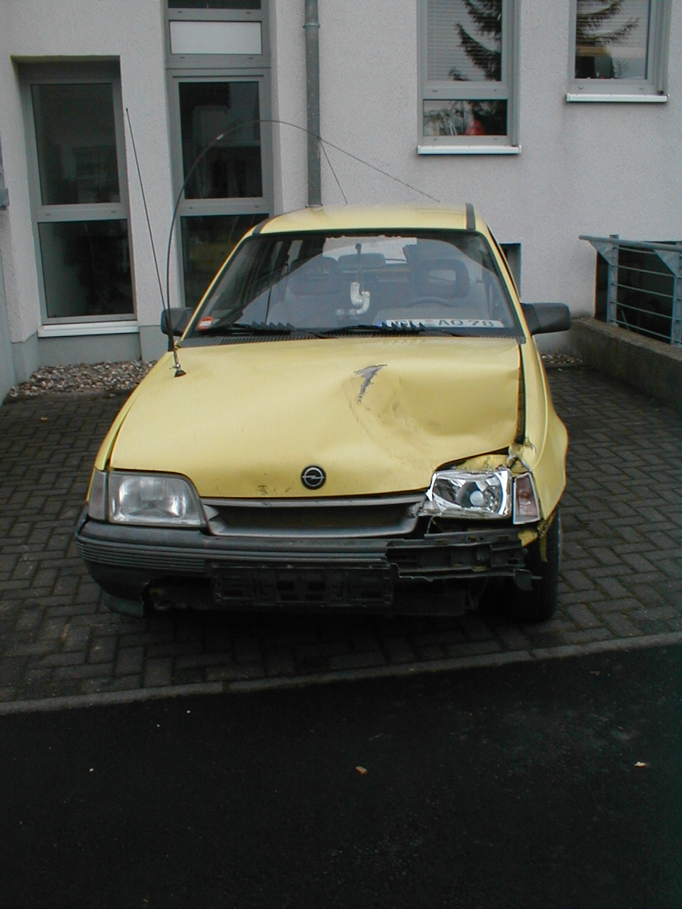 der geschlachtete :(