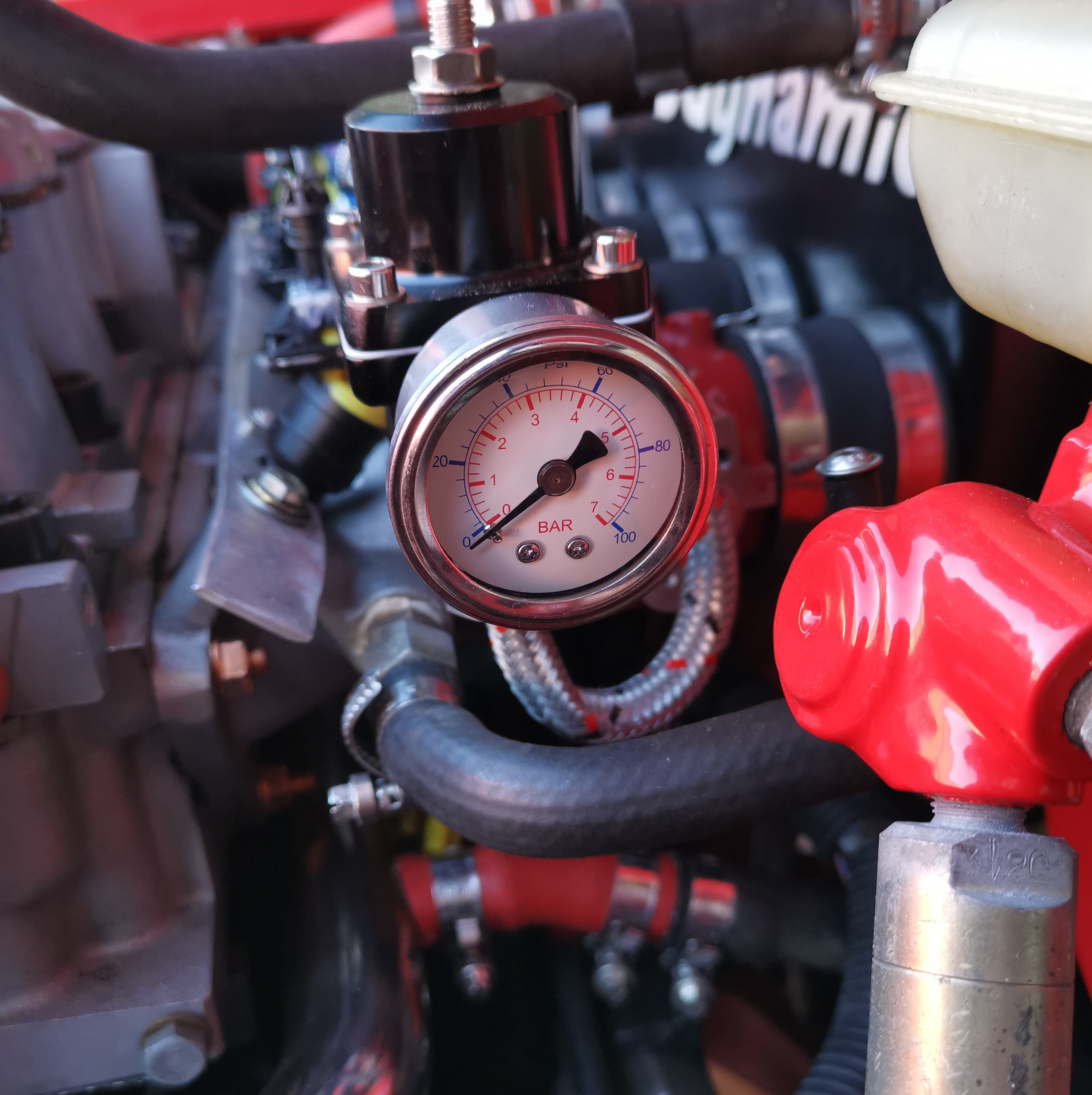 IMG_20250201_150952_edit_80404340515855