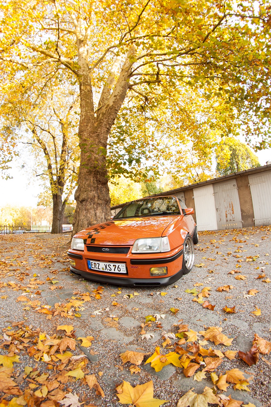 Der Herbst steht ihm gut.